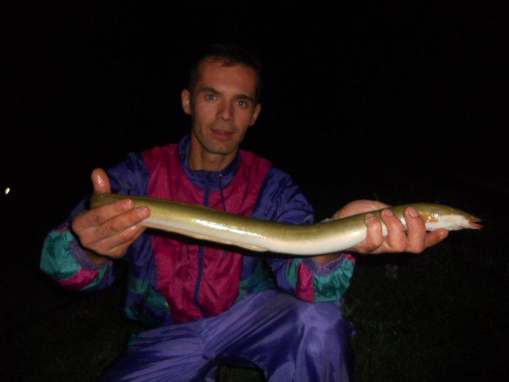 diverse - 3157152236993143445443744164n.jpg